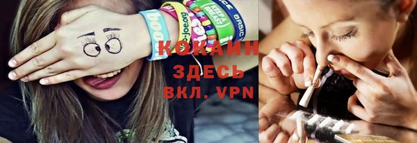 ешки Бородино