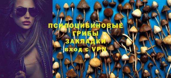 spice Бугульма