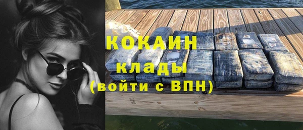 ешки Бородино