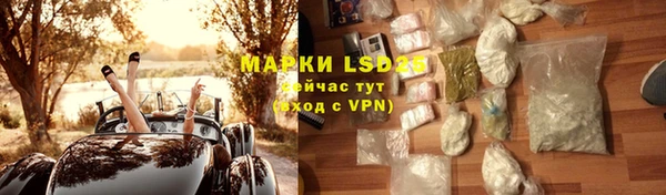 ешки Бородино