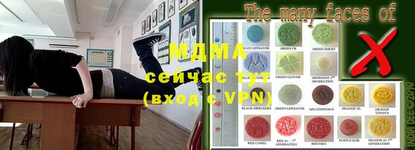 ешки Бородино