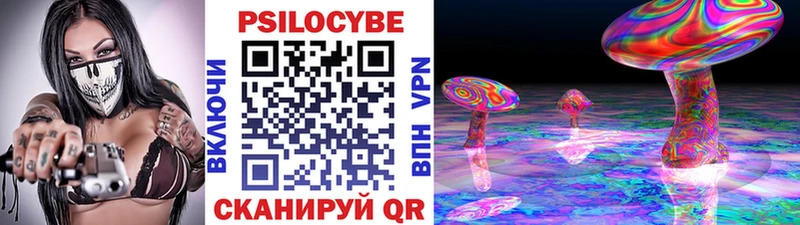 Галлюциногенные грибы Cubensis Сосновый Бор